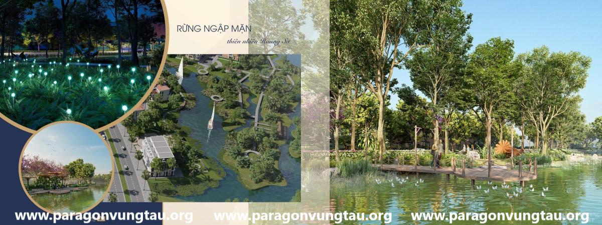 Rừng ngập mặn